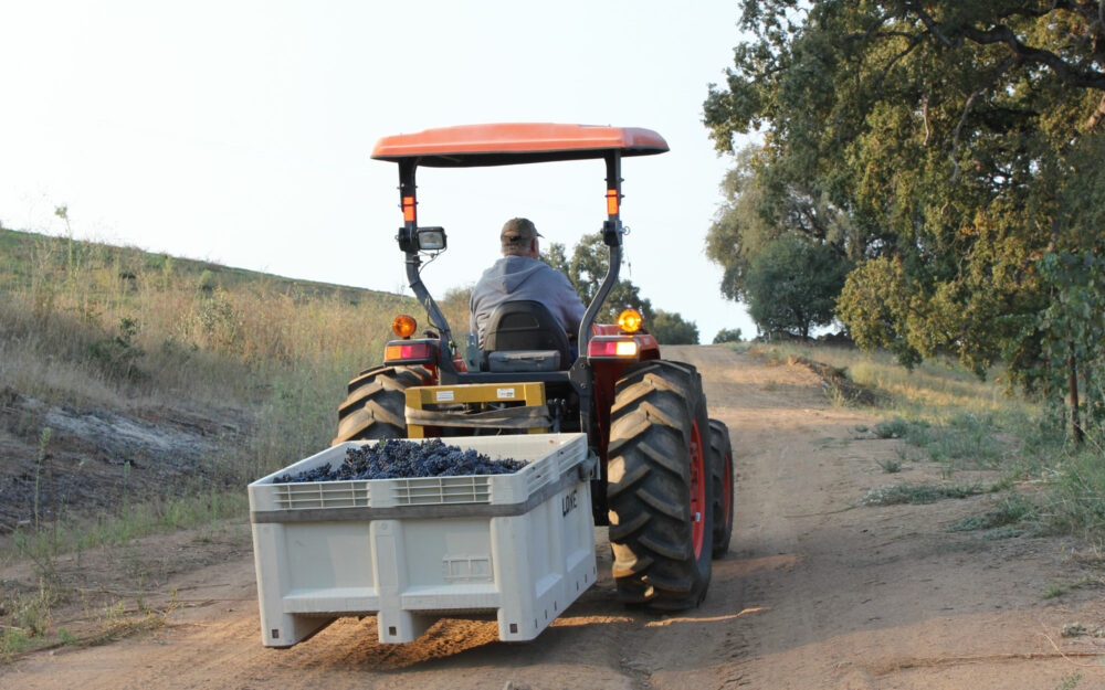 Tractor driving fruit bins from the vineyard at Plein Air Vineyards